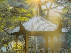 -上海兴国宾馆香樟园西餐厅