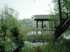 -洋湖国家湿地公园