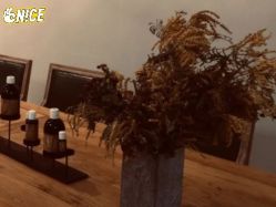 -芳香乐府疗愈空间·SPA·冥想