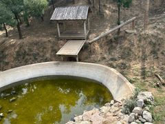 -石家庄市动物园