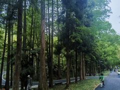 -东明山森林公园