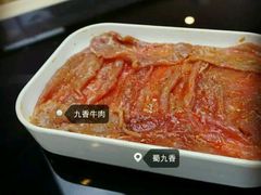 -蜀九香火锅(九眼桥店)