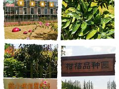 -上海长兴岛郊野公园