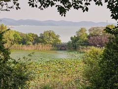 -上海市保健医疗中心