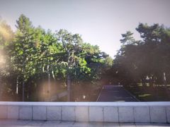 -长春市南湖公园