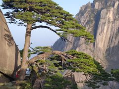 -高一点·徽味酥饼王·黄山烧饼