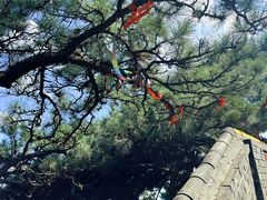 -妙峰山风景名胜区