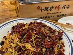 -福苗小骆驼烧烤(莲湖路店)