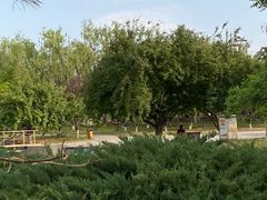 -太阳宫公园