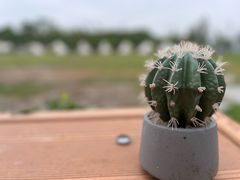 -不觉晓CAMPING(上海迪士尼营地店)