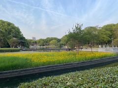 -蠡湖大桥公园