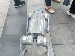 -爱革·奢品·鞋包·衣物·家居(金桥国际商业广场店)