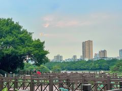-南宁南湖公园