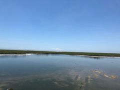 -北海金海湾红树林生态旅游区