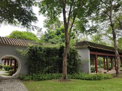 -顺峰山公园