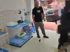 -哈尔滨道外花鸟鱼市场