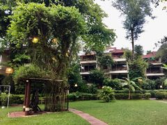 -卷心菜和避孕套餐厅(Pattaya)