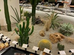 -OUR Bakery(SKP-S店)