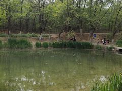 -云岗森林公园