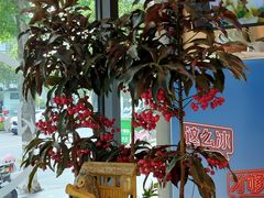 -小姜锅贴(凤凰街店)