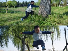 -昆山城市生态森林公园