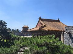 -北陵公园
