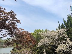 -白马涧龙池景区
