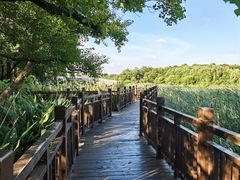 -东湖落雁景区