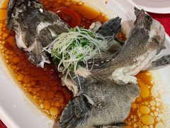 清蒸龙趸-春满园·早茶·粤菜·宴会(喜宴店)