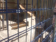 -山西乌金山旅游区