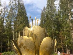 -东平国家森林公园