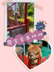 -萌宠亲子动物乐园(槐房万达店)