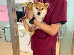 -宠颐生中康贝怡动物医院