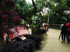 -金鸡山公园