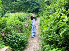 -枸杞岛
