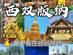 -西双版纳原始森林公园