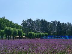 -北戴河集发农业梦想王国