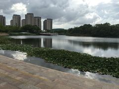 -新江湾城公园