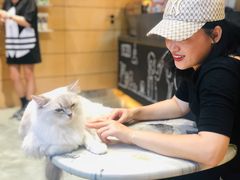 -瞄一喵猫咖(格力海岸店)