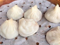 鲜肉小笼-大龙汤包