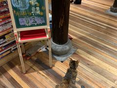 -猫的天空之城概念书店(杭州南宋御街店)