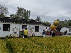 -溱湖国家湿地公园