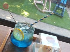 -柴犬高等学院·狗咖·柴犬售卖·宠物训练