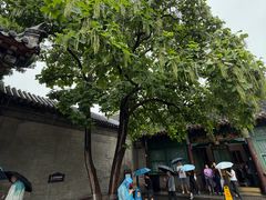 -张学良旧居陈列馆
