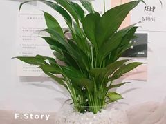 -F.Story 花和故事(新天地店)