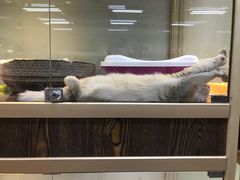 -乐宠宠物店(世纪金源店)