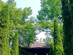 -丰都鬼城名山景区
