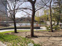 -大望京公园