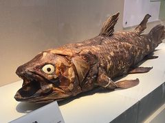 -国家自然博物馆