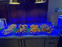 -熙楼(翠湖店)